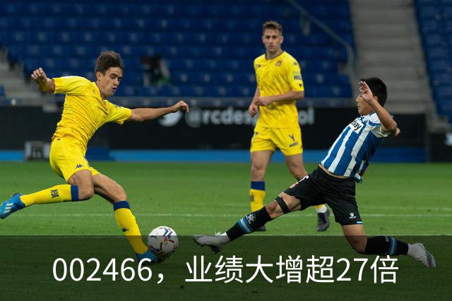 002466，业绩大增超27倍